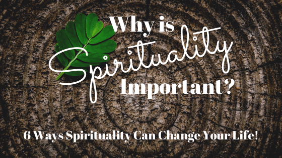 Seeker definition spiritual What Is