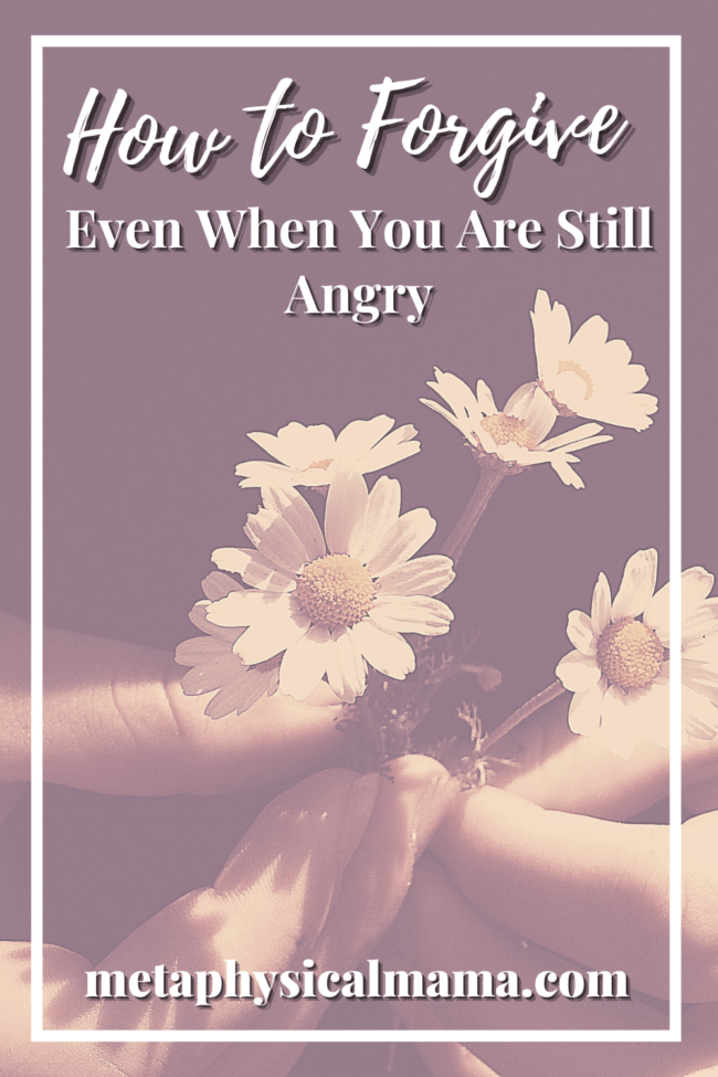 hands holding white daisies How to forgive even when you are still angry