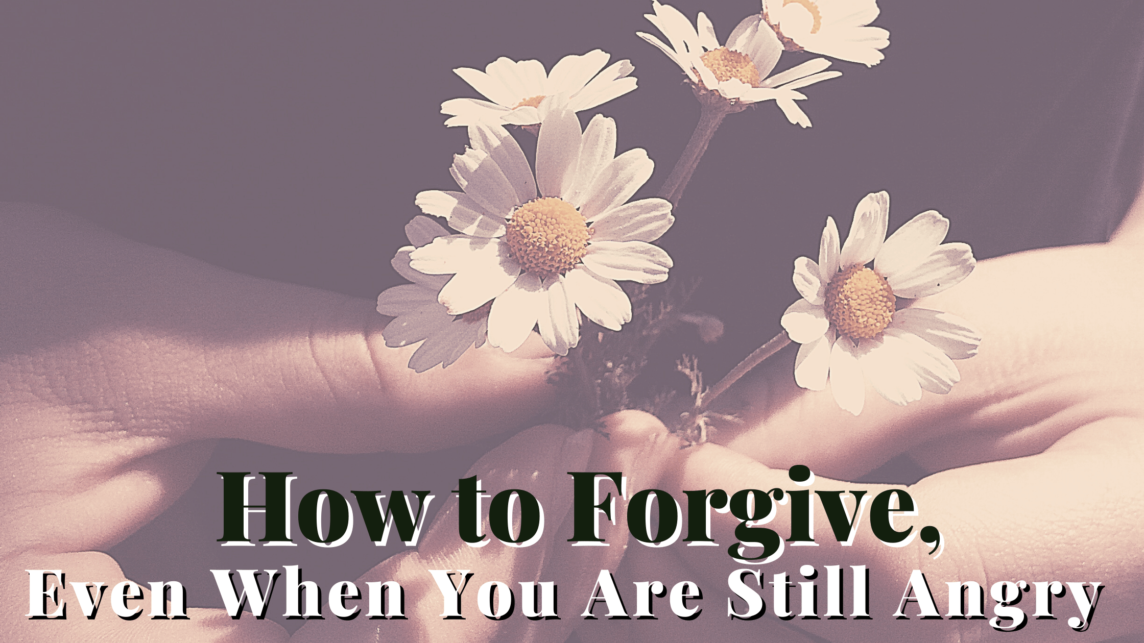 hands holding white daisies how to forgive even when you are still angry